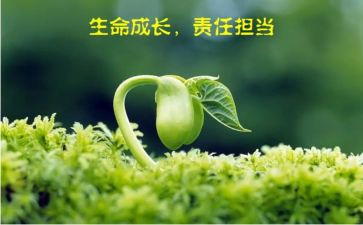 教师责任的演讲稿优质5篇