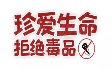 张子权观后感最新7篇