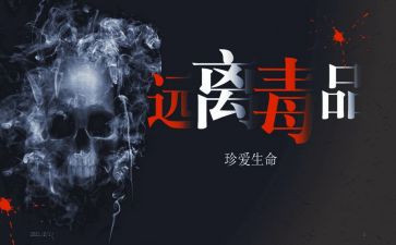张子权观后感8篇