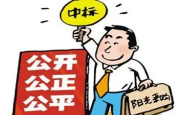 招标年终总结7篇
