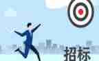 招标人年终总结7篇