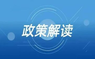 双减政策心得优质6篇