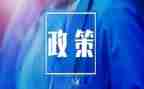双减政策心得体会优质8篇
