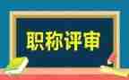 正高级职称的个人总结7篇
