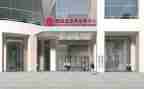 政务性工作总结模板8篇
