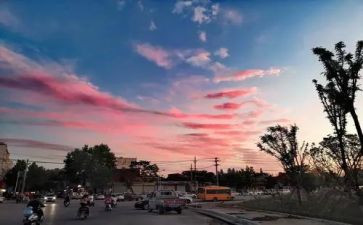 生命真精彩作文6篇