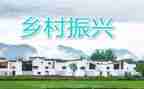 乡村振兴的调研报告优质6篇