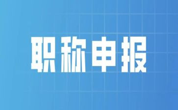 职称报告工作总结5篇