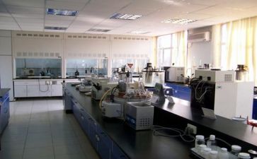 质量强工作总结5篇