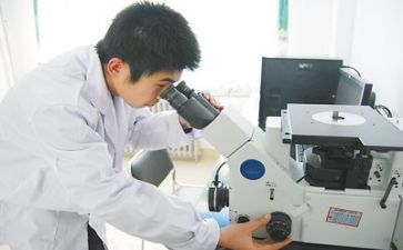 质量年度工作计划5篇
