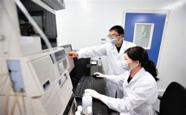 技术质量组工作总结范文6篇