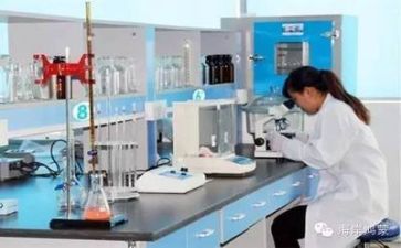 市质量工作总结5篇