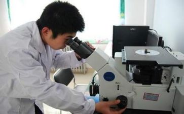 质量个人述职报告范文8篇