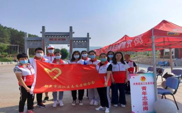 学生志愿者的心得体会8篇