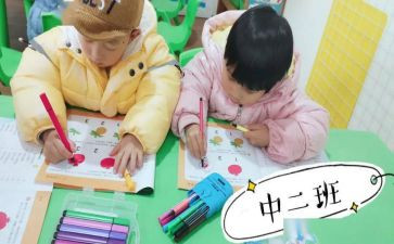 在幼儿园工作个人总结中班精选6篇