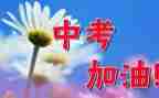 期中考试总结演讲稿8篇