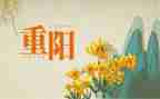 学校九九重阳节活动总结6篇