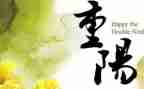 重阳节活动方案总结7篇
