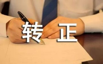 教师编转正个人总结参考5篇