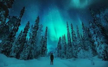 我追寻的……作文6篇