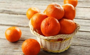 橘子读后感通用8篇