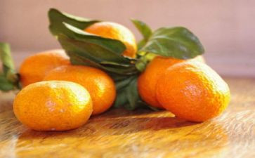 小班科学剥橘子教案7篇