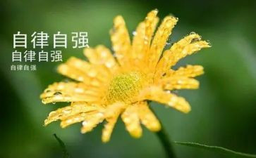 自强少年事迹材料优质5篇
