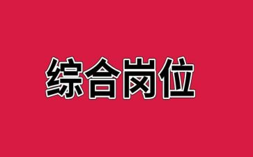 财务综合岗工作总结8篇