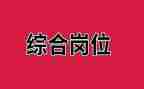 财务综合岗工作总结8篇