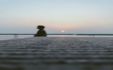 我们走过的日子作文5篇