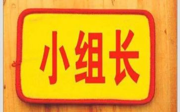 各组长培训总结最新8篇