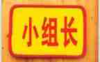 各组长培训总结最新8篇