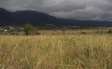 租赁房屋租赁合同模板8篇