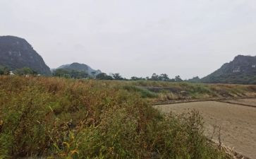沿街商铺租赁合同5篇