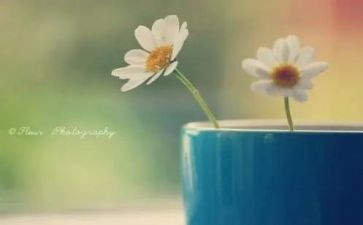 《做最好的老师》心得推荐6篇